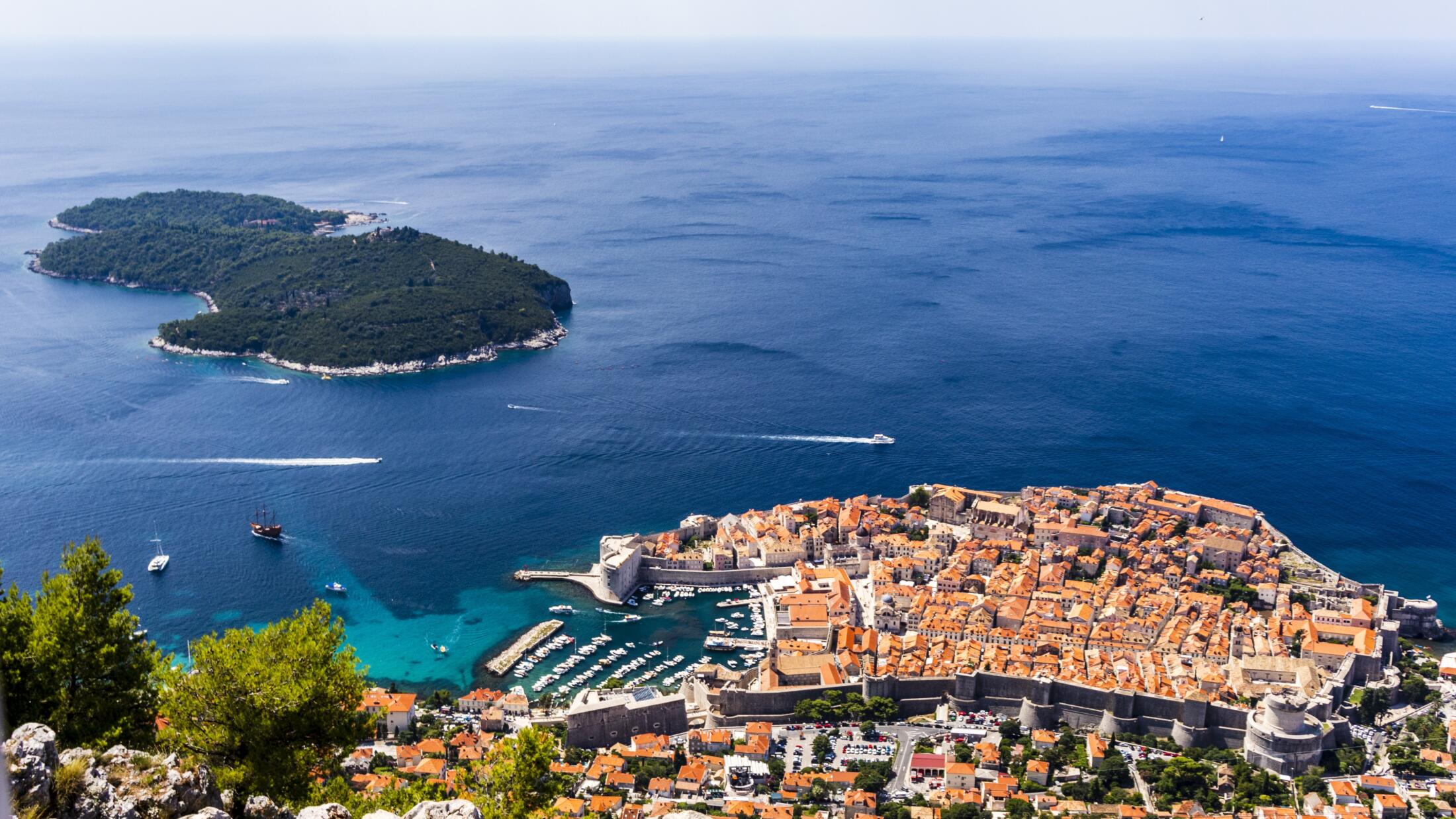 Dubrovnik breed